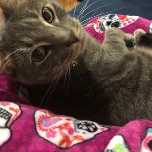 Meet your Posher, Christina